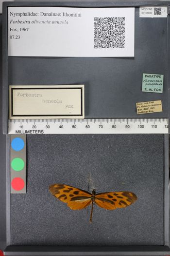 Media type: image;   Entomology 108693